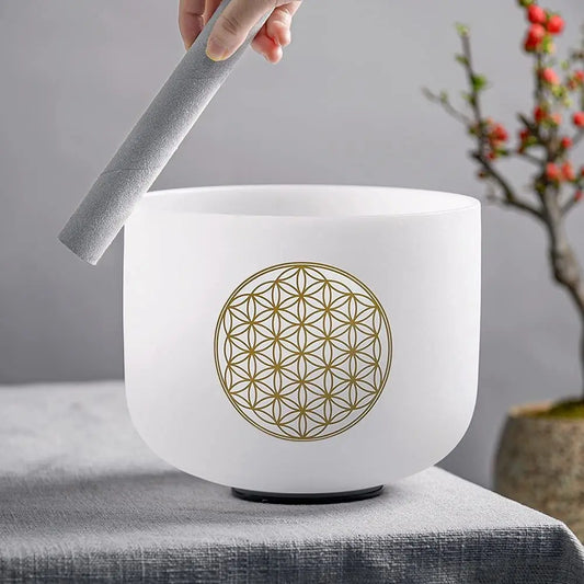 8 inch crystal singing bowl with carry case, view 2