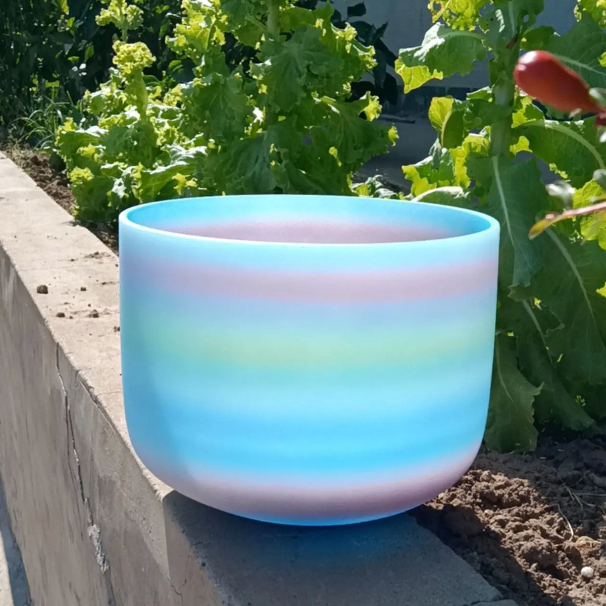 8 inch coloured crystal singing bowl, view 11